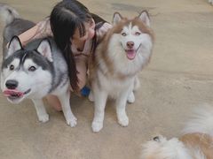 -TrueLove @ Neverland (Husky Cafe)