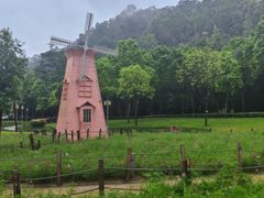 -顺峰山公园