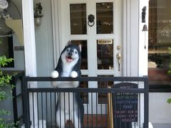 -TrueLove @ Neverland (Husky Cafe)