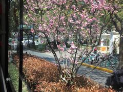 -文武汤包馆(辉河店)