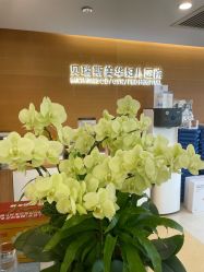 -杭州贝瑞斯美华妇儿医院·早孕·产检·儿科