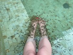 -春晖园度假酒店温泉