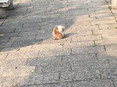 -西安化觉巷清真大寺