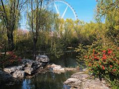-石家庄市植物园