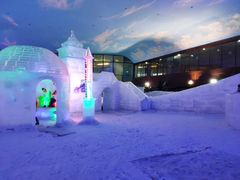 -世界之窗阿尔卑斯冰雪世界