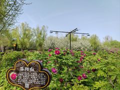 -洛阳市隋唐城遗址植物园