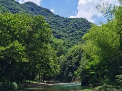 -水墨汀溪风景区