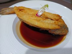 -顺德美的万豪酒店-万豪中餐厅