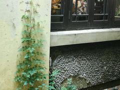 -也枫·小黄楼(南山路旗舰店)