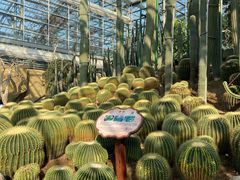 -南山植物园