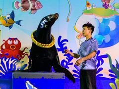 -太平洋海底世界