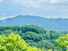 -吉林市朱雀山国家森林公园