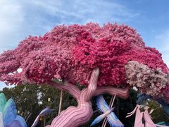 -祥源·阜阳生态乐园