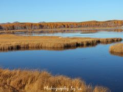 -塞罕坝国家级自然保护区
