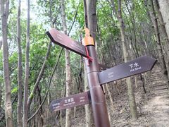 -东钱湖旅游度假区