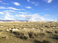 -青海湖国家重点风景名胜区