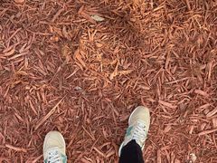 -北京西山国家森林公园