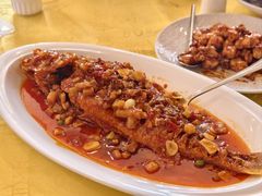 干烧大黄鱼-同和居(月坛店)