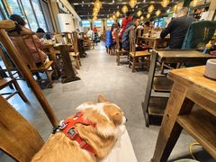 -肖肖酸萝卜鱼火锅(总店)