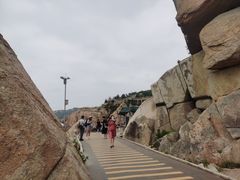 -广东惠东海龟国家级自然保护区