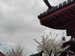 -南翔古镇