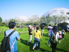 -九善农植有机生活农场