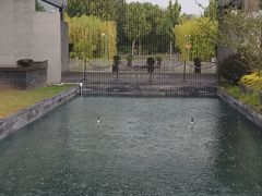 -苏州阳澄半岛英迪格酒店