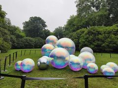 -上海共青森林公园