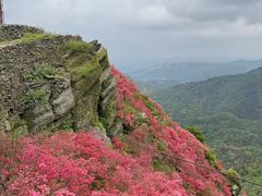 -木兰云雾山