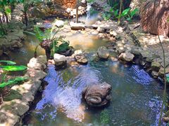 -海南槟榔谷黎苗文化旅游区