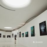 昆明看展｜新晋树影艺术中心也太太太出片啦