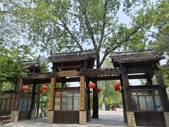 -溱湖国家湿地公园