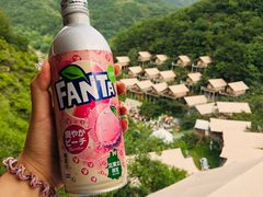 -北京山里寒舍度假酒店