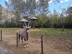 -大连森林动物园