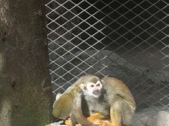 -北海市海滨公园