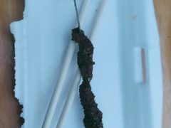 -霍元甲烧烤(江城商务大楼店)