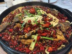 -老板恋上鱼(高新万达店)