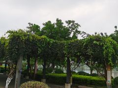 -飞来湖湿地公园