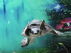 -秦皇岛新澳海底世界