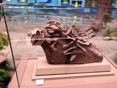 -陕西自然博物馆