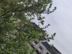 -山塘街