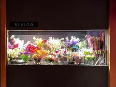 -二酉书店TOYOU BOOKS