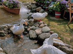 -HERRE·FARM 赫尔露营农场·团建聚会包场