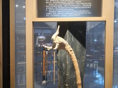 -手工艺活态馆