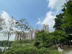 -广东花都湖国家湿地公园