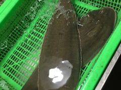 -都斛海鲜街