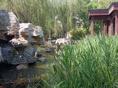 -塘沽森林公园