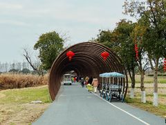 -良渚古城遗址公园