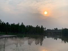 -白鹭湾湿地公园