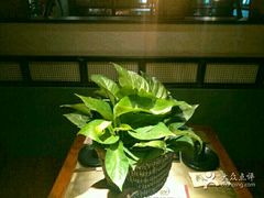 -手选潮汕鲜活牛肉火锅(二七广场店)